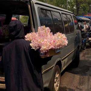 艳妇荡岳丰满做爰
