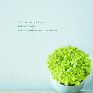 艳妇荡岳丰满做爰
